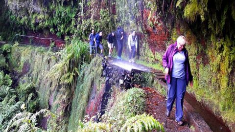 Madeira Hidden Corners