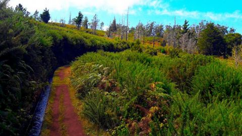 Madeira: Levada do Moinho