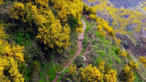 Madeira: Caminho Real da Encumeada