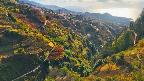 Madeira: Levada do Norte