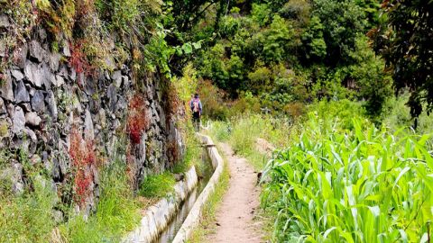 Madeira: Maroços / Mimosa Valley