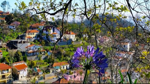 Madeira: Paradise Valley