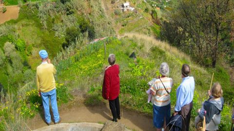 Madeira: Referta / Castelejo