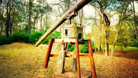 Hilton Head History : Bus Tour