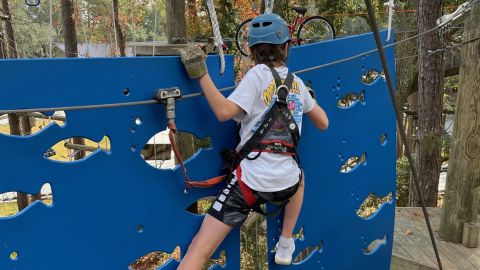 Aerial Adventure: High Ropes Courses