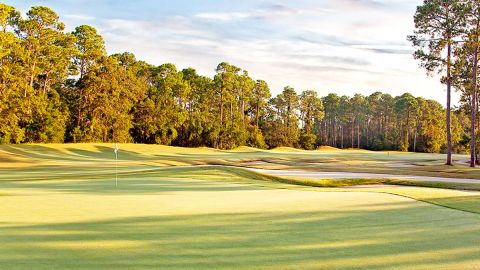 Play Golf on the Arthur Hills Course at the Palmetto Hall Golf and Country Club