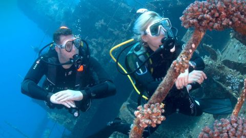 Fujairah 2 Dives for Certified Divers and BBQ lunch & Transfer