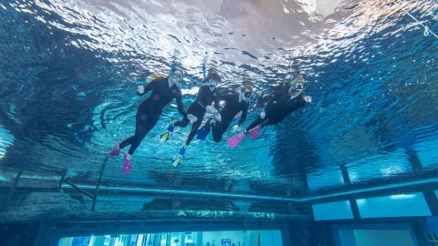 Deep Dive Dubai - Discover Snorkelling