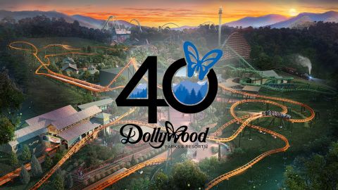 1-Day Dollywood Theme Park Tickets