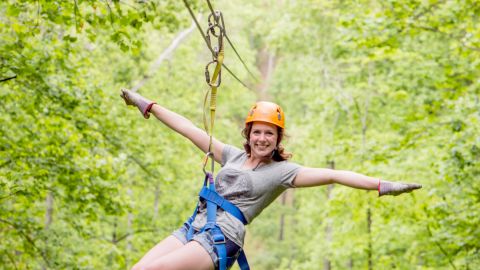 Zipline Tour: 7-line Adventure