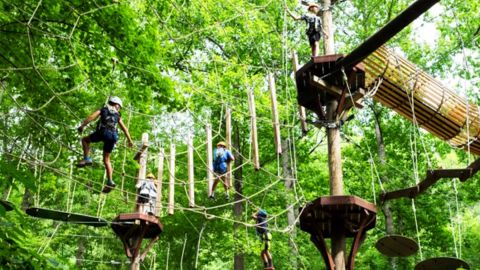 Zip Line Adventure Park