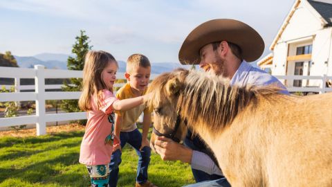 General Admission To SkyLand Ranch with Scenic Chair Lift