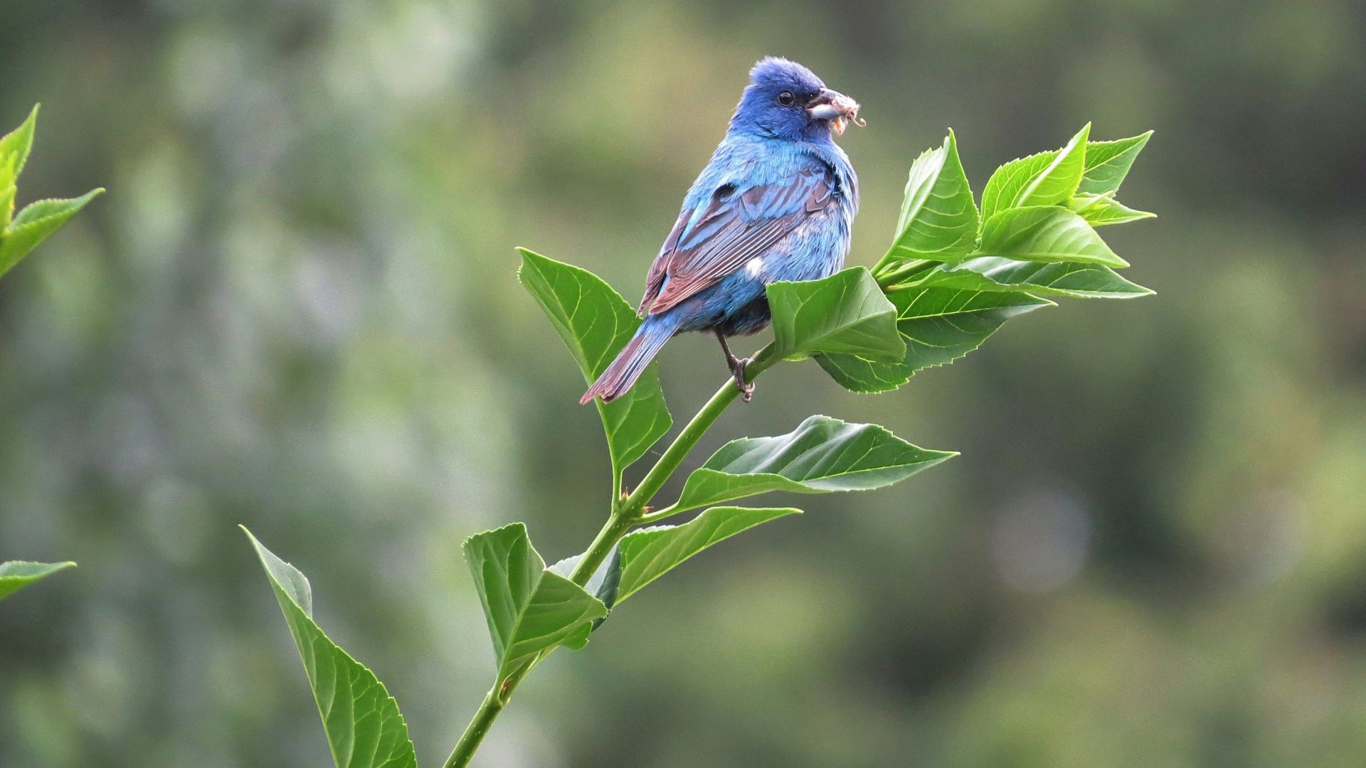 Flex with group price