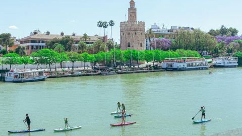 Seville: 1.5 hour Paddle Surf Tour