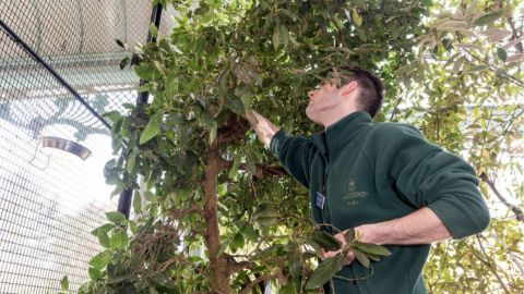 Behind the Scenes Tour at The Aviary with Grounds Admission