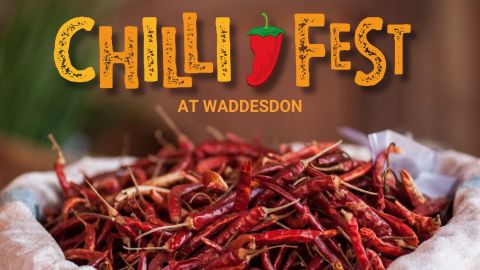 Chilli Fest Grounds Admission