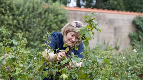 A Forage around Waddesdon Estate				