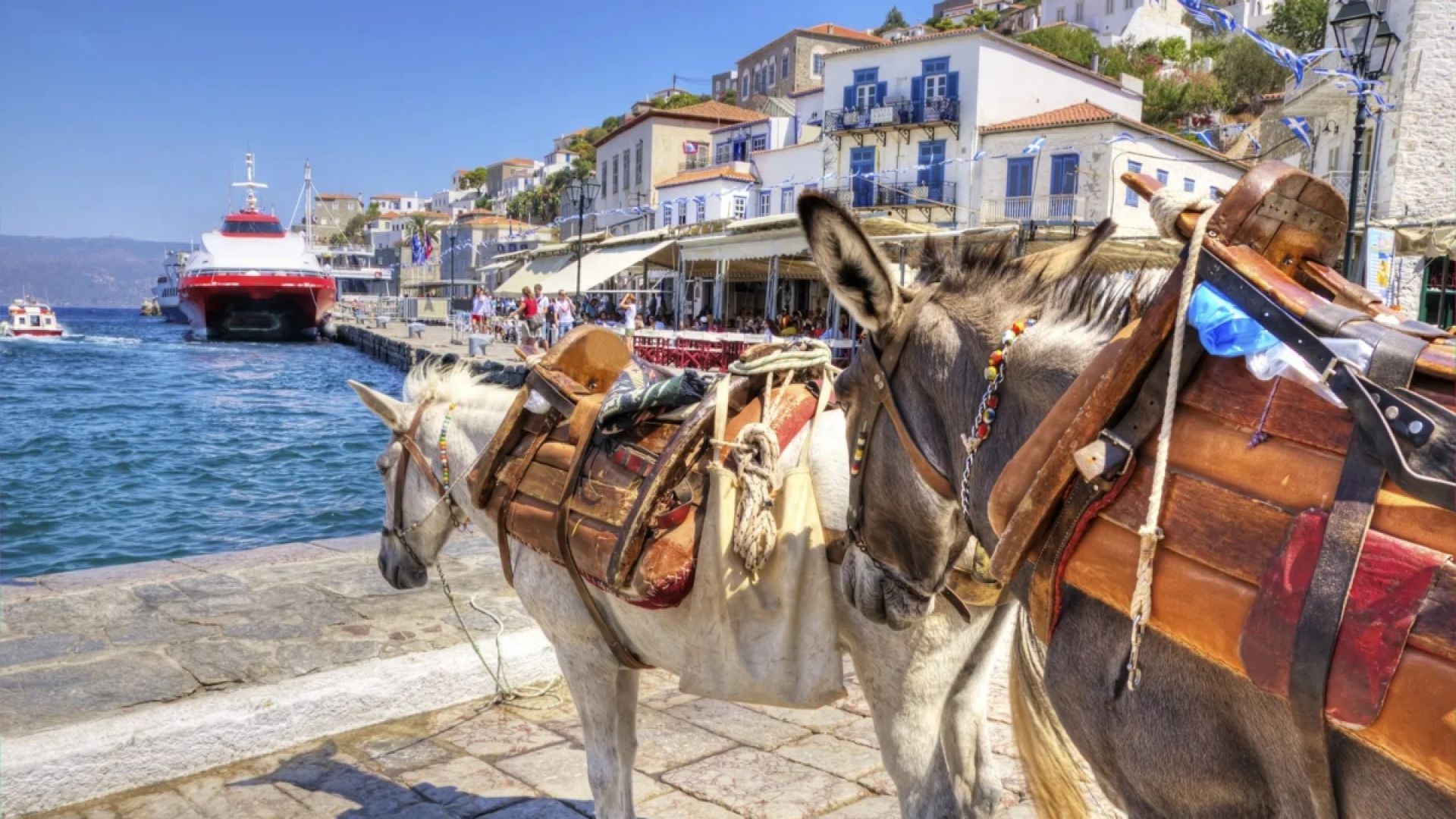 Hydra, Poros Aegina One Day Cruise