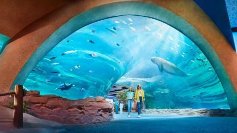 General Admission - SeaWorld Abu Dhabi