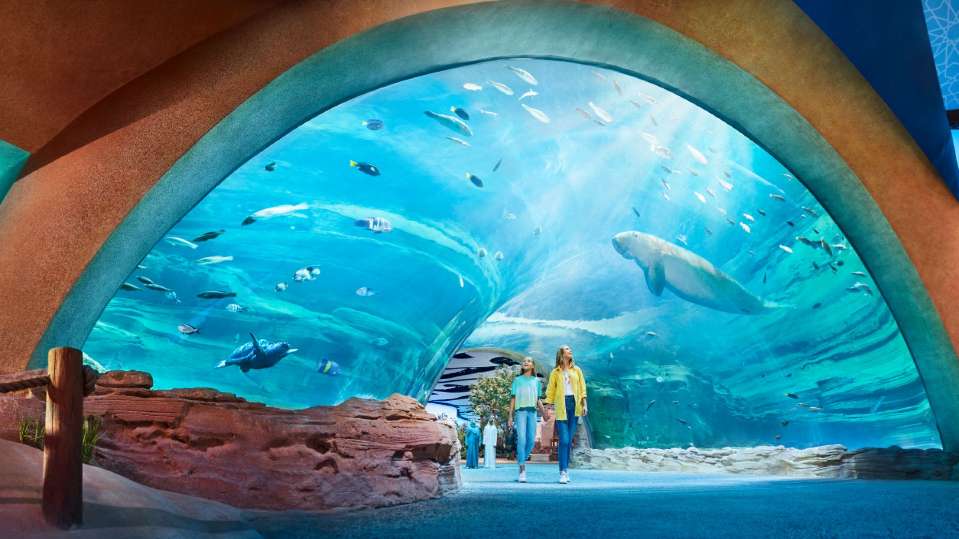 Quick Pass - SeaWorld Abu Dhabi (General Admission Not Included)