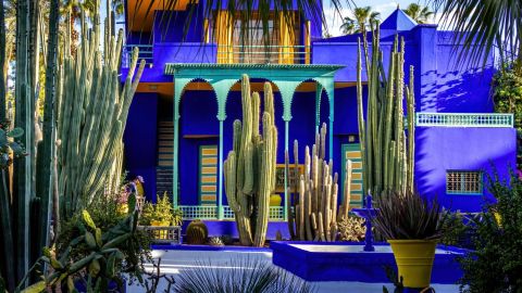 Marrakech– Botanical Tour