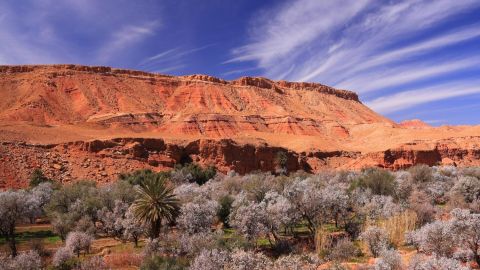 Nature & Adventure Park