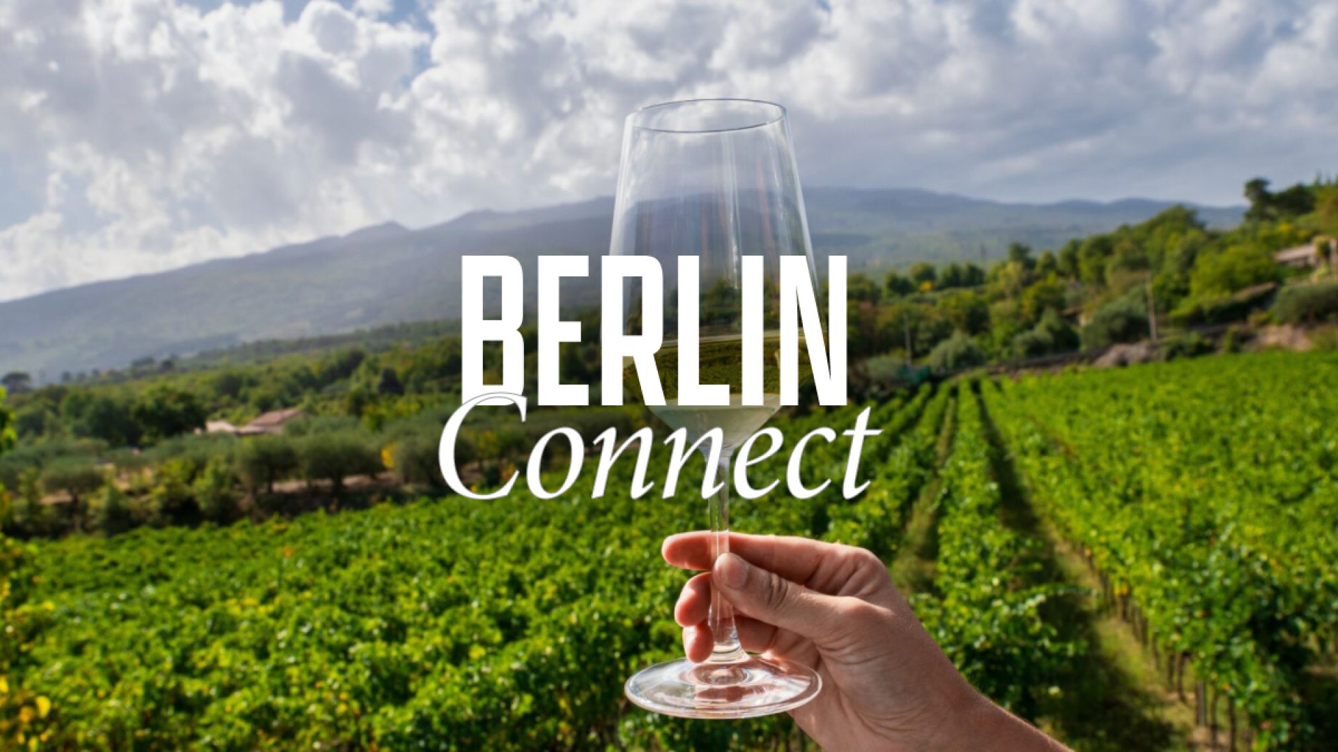 Berlin Connect: Wine Tasting & Tour