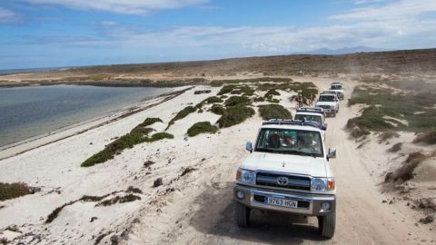 Safari 4x4 Cotillo from South - From Jandia y Costa Calma 