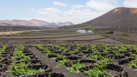 Lanzarote - From Corralejo y Caleta de Fuste