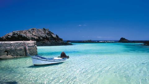 Freebird Lobos Catamaran - From Caleta de Fuste