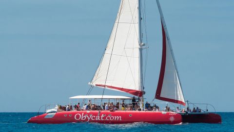 Catamaran Tour aboard the 