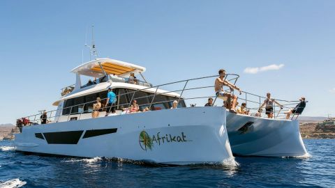 Catamaran Tour aboard the Afrikat From Maspalomas