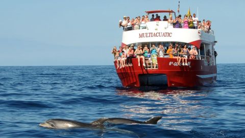 Catamarán Multiacuatic (Direct) - Experiences from  Mogán