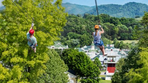 Zipline Tour: 8-Line Adventure