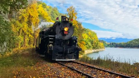 Train Excursion 