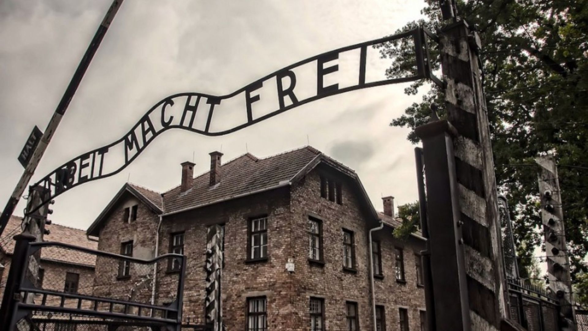 Auschwitz-Birkenau Guided Tour from Meeting Point