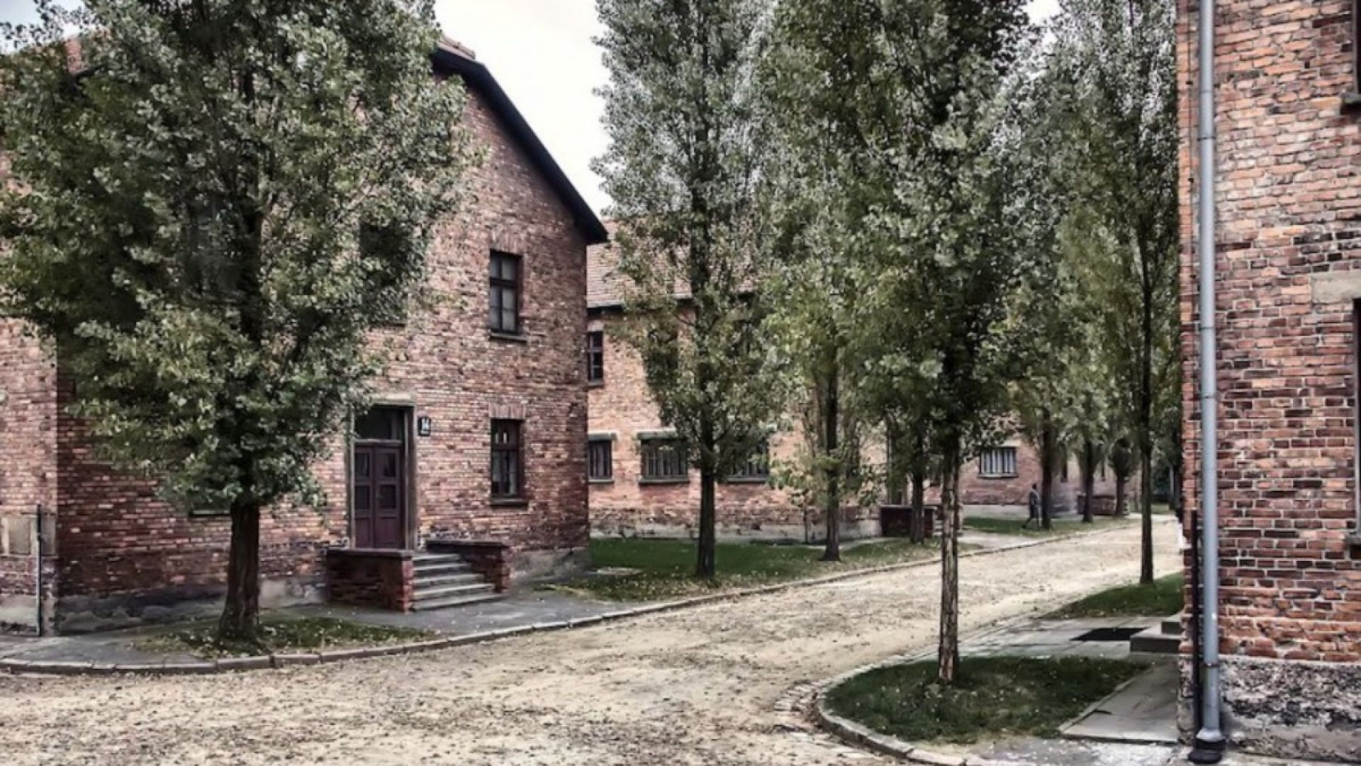 Auschwitz-Birkenau Guided Tour from Meeting Point