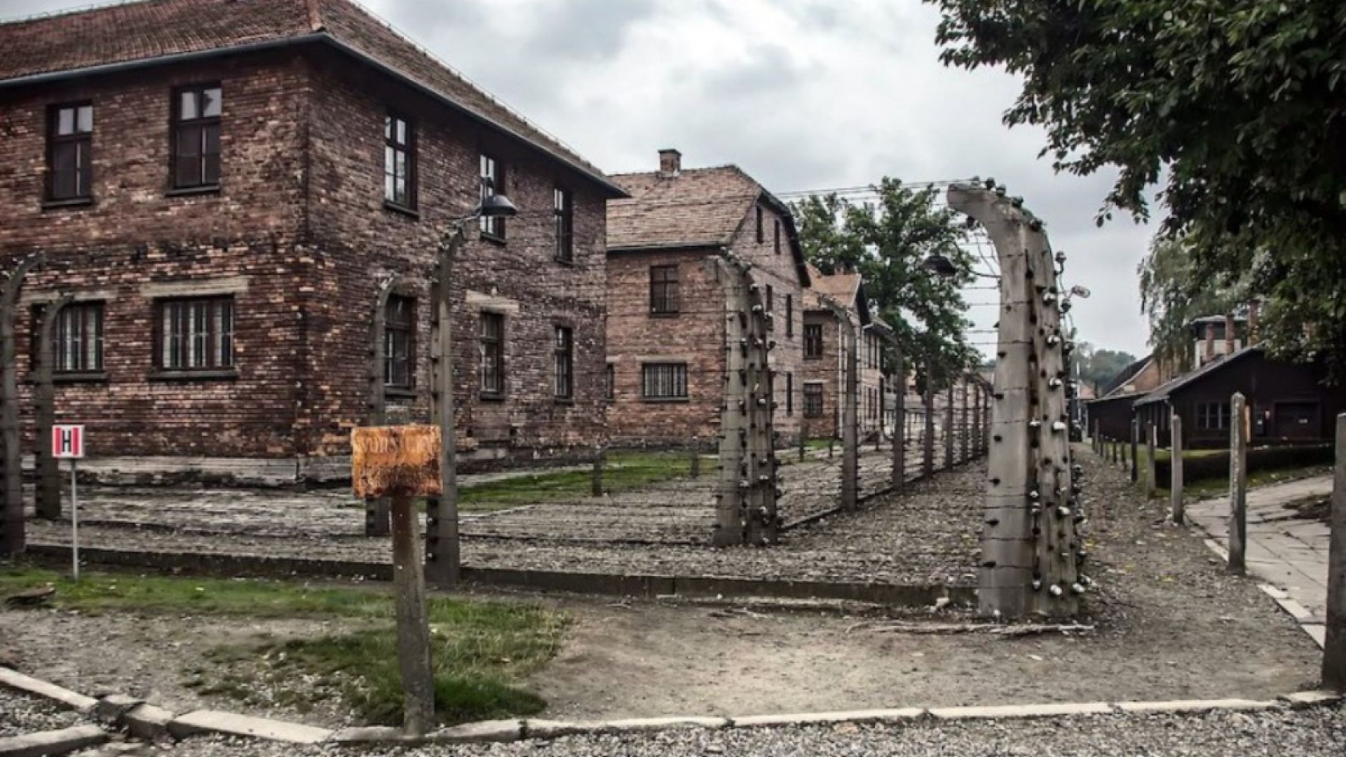 Auschwitz-Birkenau Guided Tour from Meeting Point