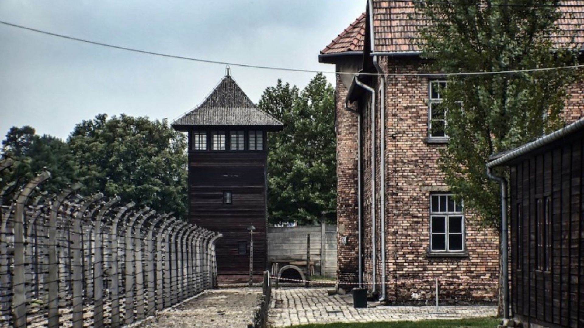 Auschwitz-Birkenau Guided Tour from Meeting Point