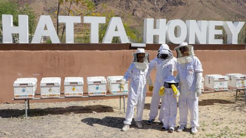 Hatta Honeybee Garden Discovery Tour