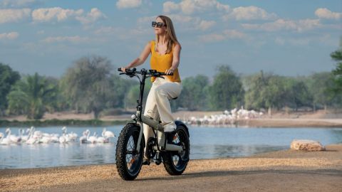 Dubai Desert E-Bike Experience – Sunrise or Sunset Nature Ride