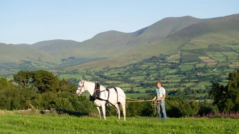 The Art of Horse Logging Experience