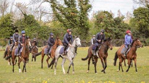 Gift the Experience: Ross O’Sullivan Racing
