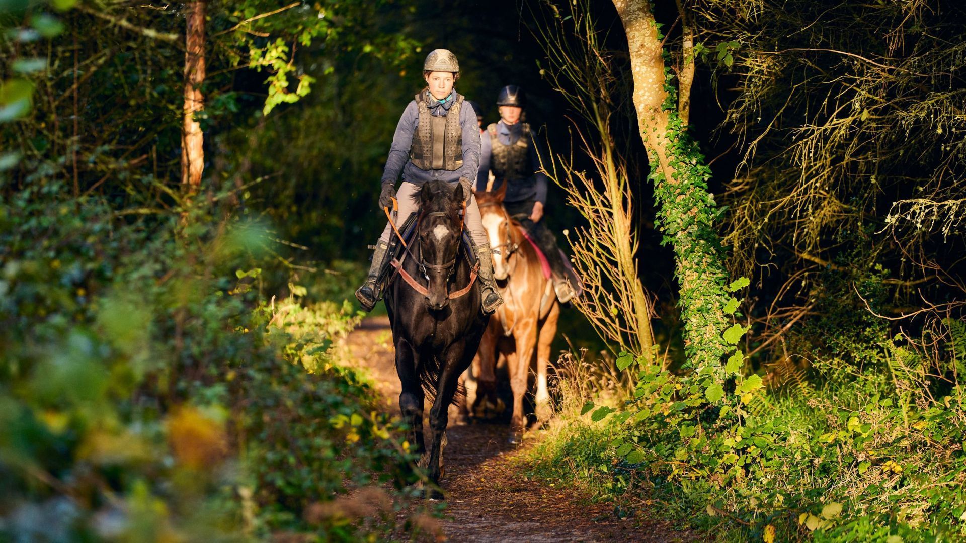 Gift the Experience: Crossogue Equestrian