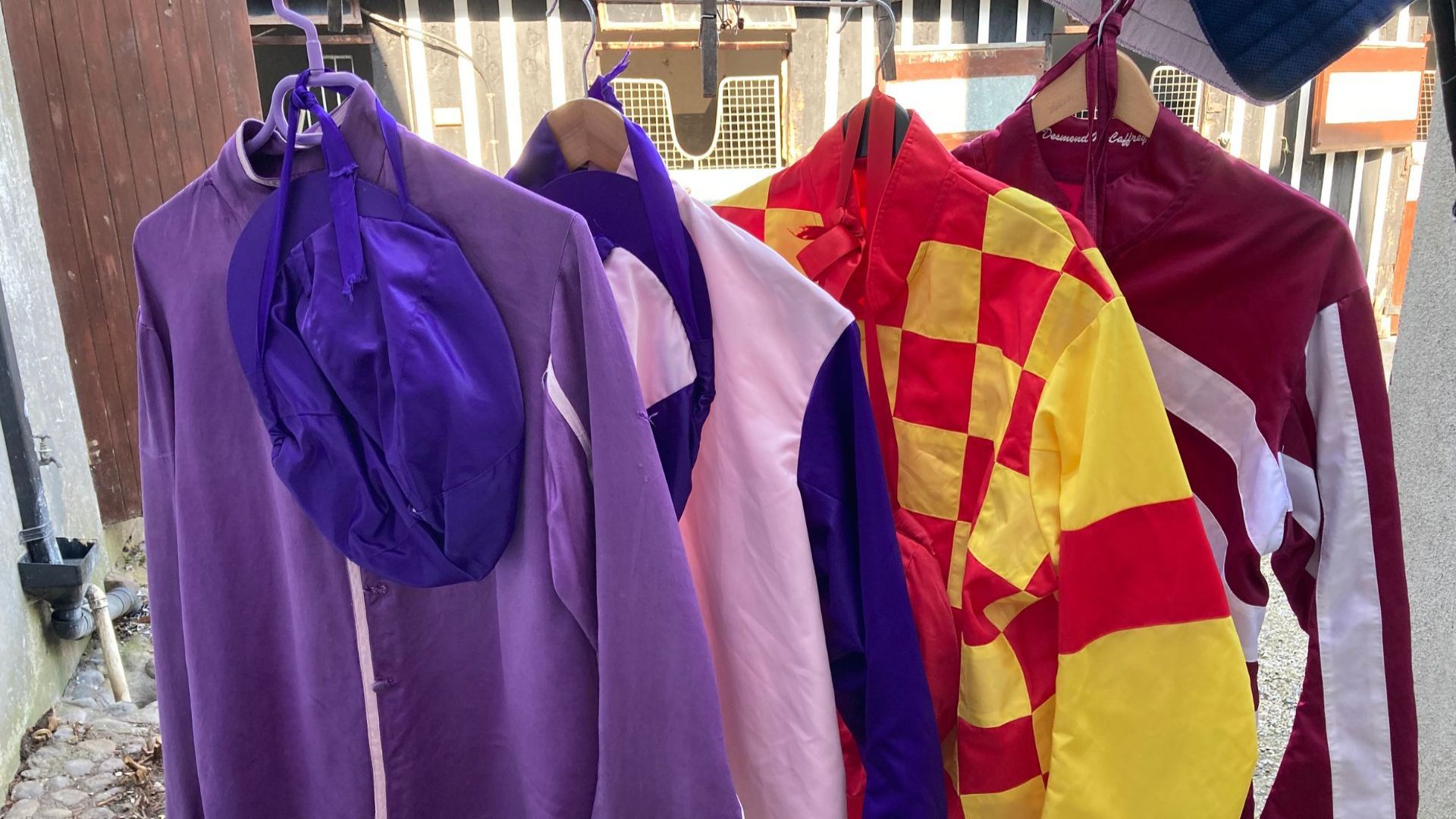 Starting Point: The Making of a Racehorse