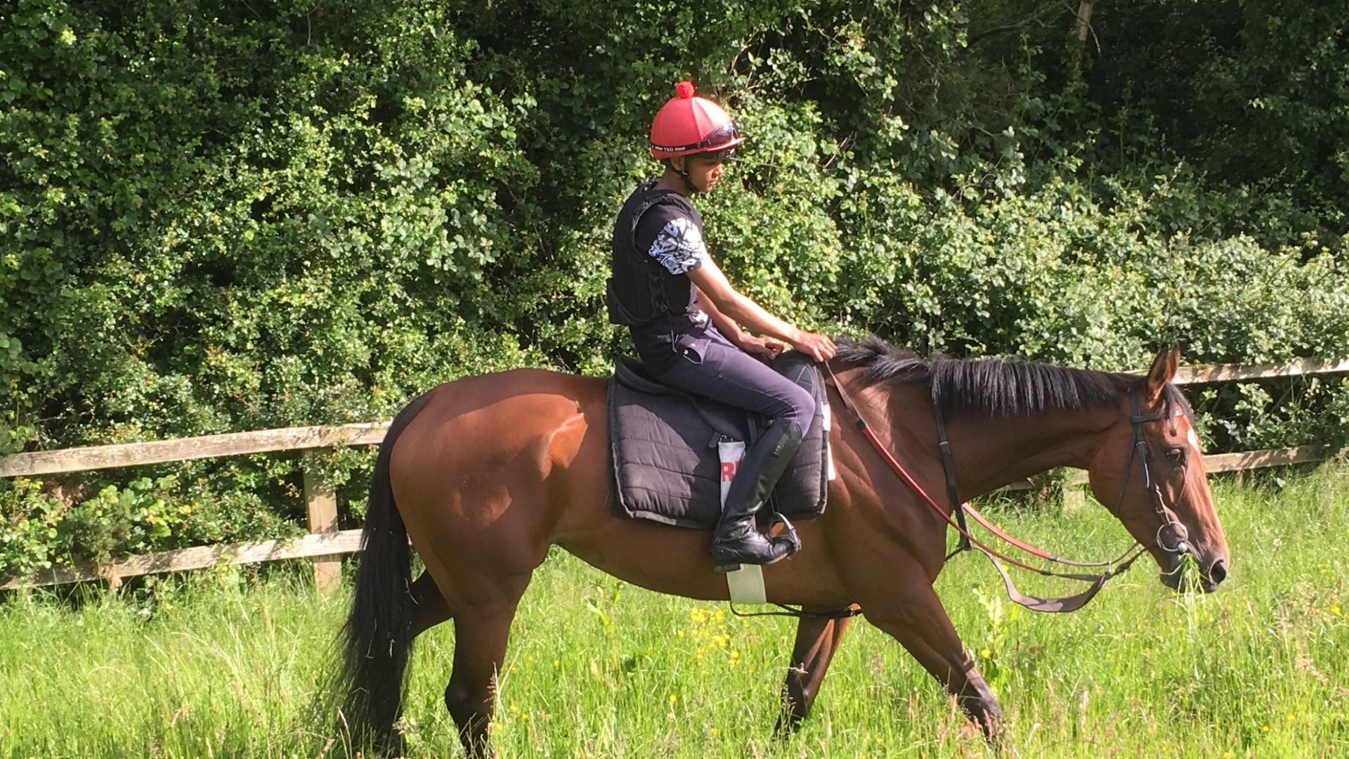 Starting Point: The Making of a Racehorse