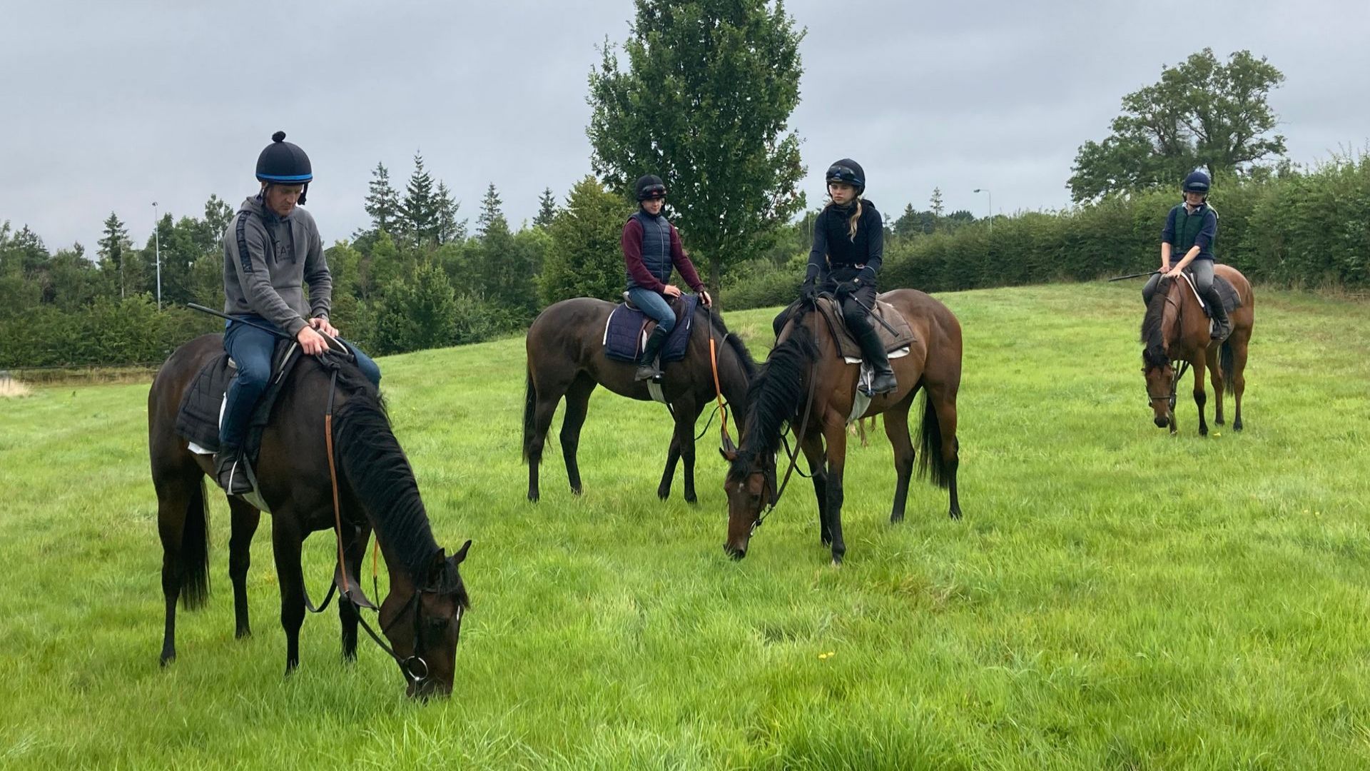 Starting Point: The Making of a Racehorse
