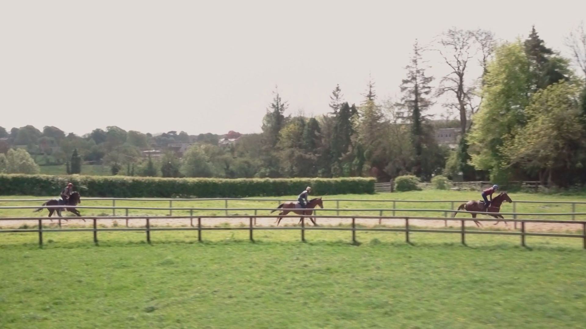 Starting Point: The Making of a Racehorse