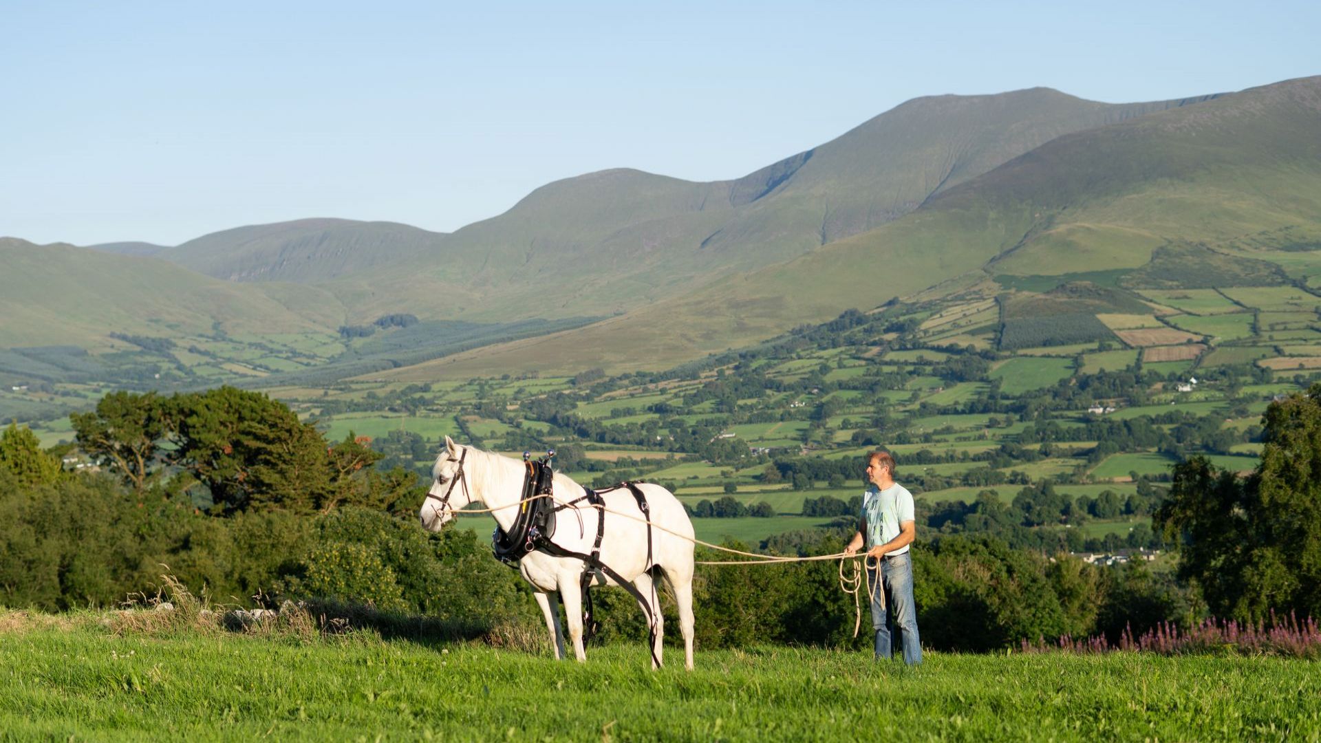 The Art of Horse Logging Experience