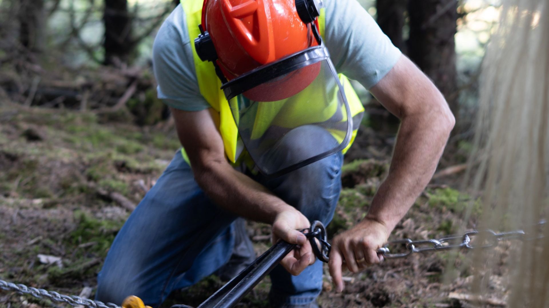 The Art of Horse Logging Experience